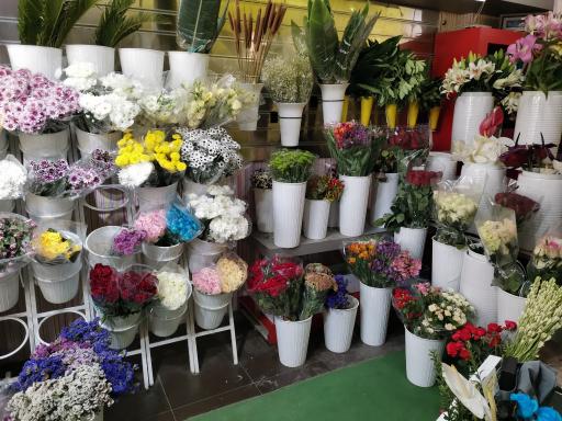 عکس Black Rose | رز سیاه 